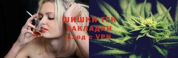 индика Абаза