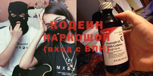 индика Абаза
