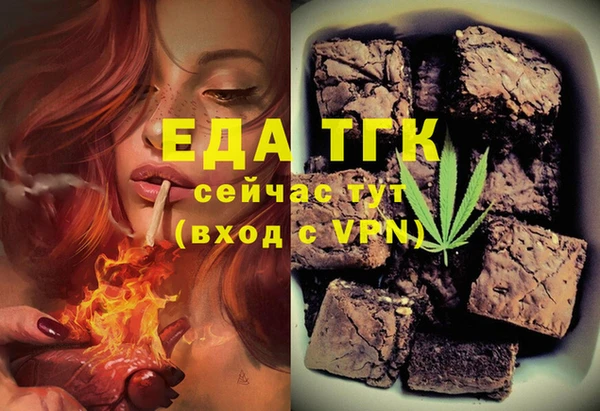 индика Абаза
