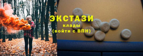 индика Абаза