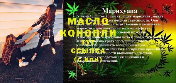 индика Абаза
