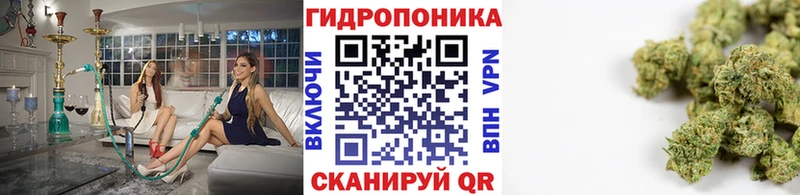 Каннабис VHQ Щёкино