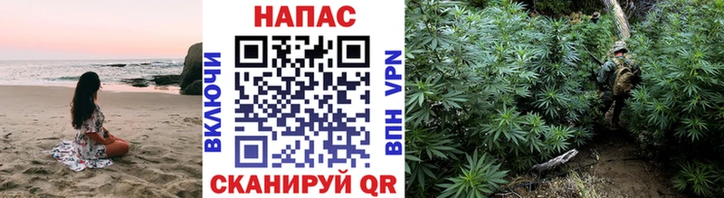 Бошки Шишки индика  Щёкино 